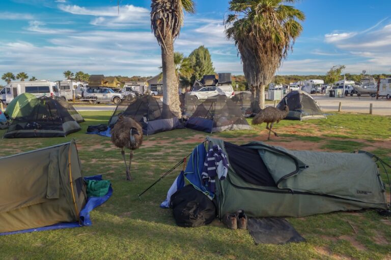 The Benefits of Investing in a High-Quality Sleeping Bag